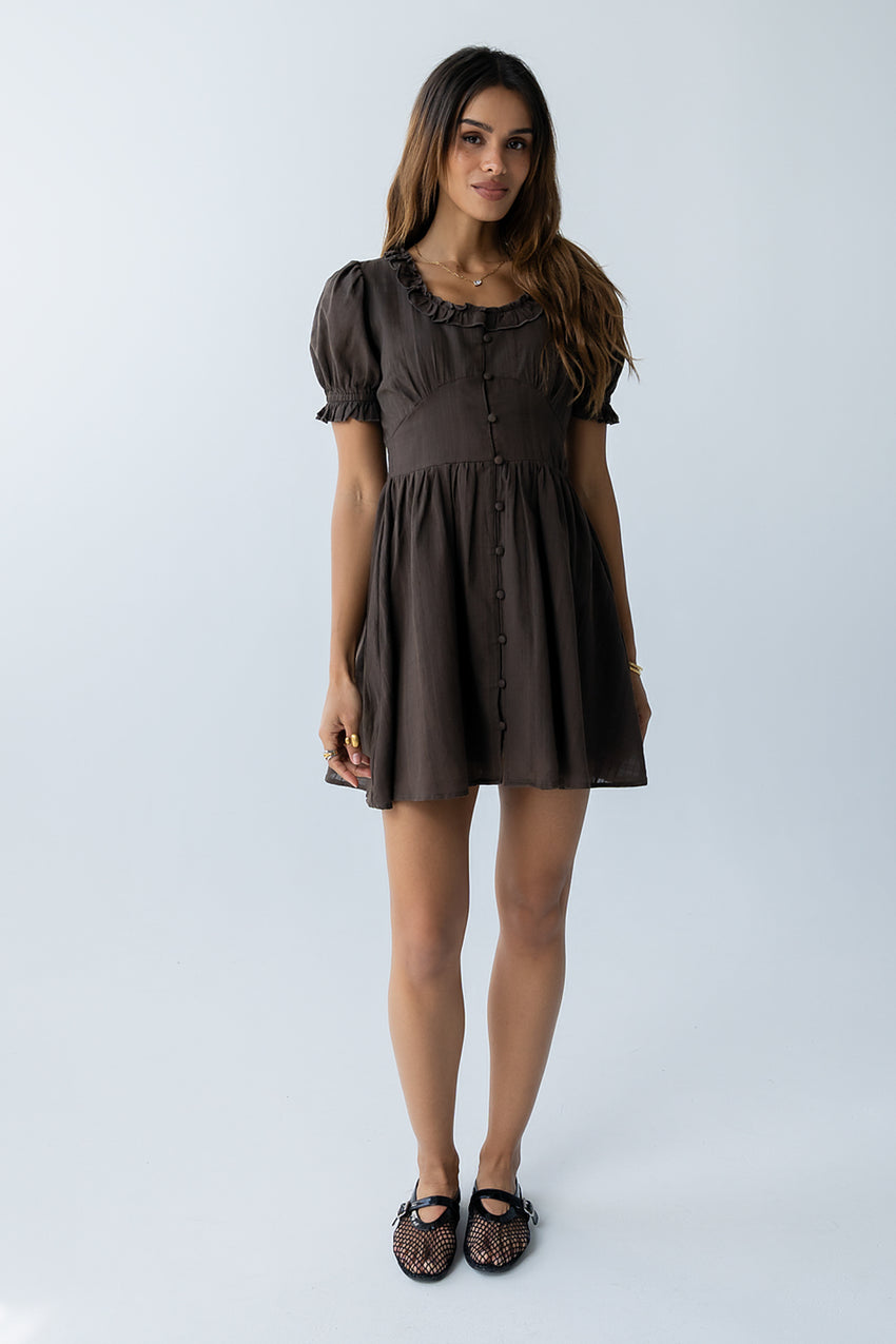 Jennie Mini Dress in Brown