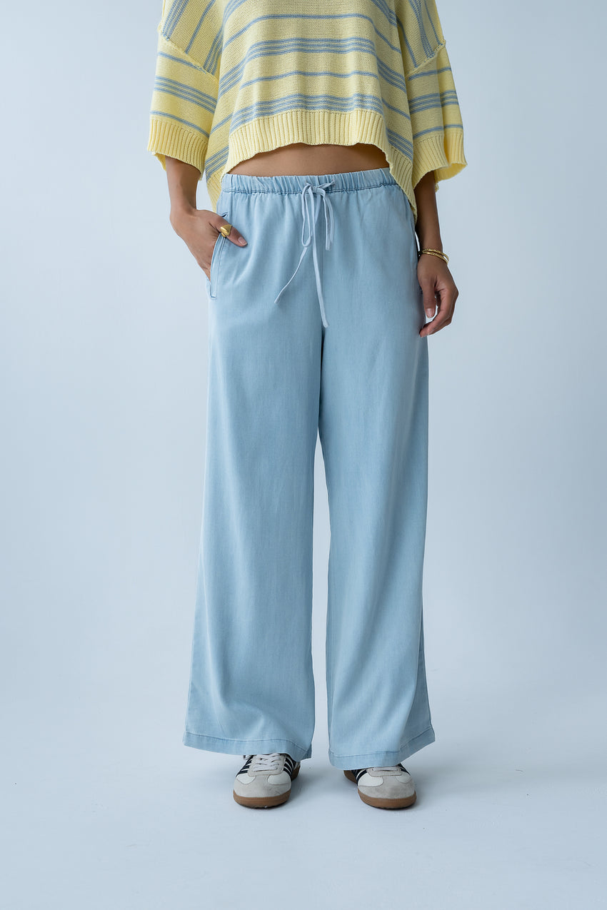 Banks Wide Leg Pants in Light Wash